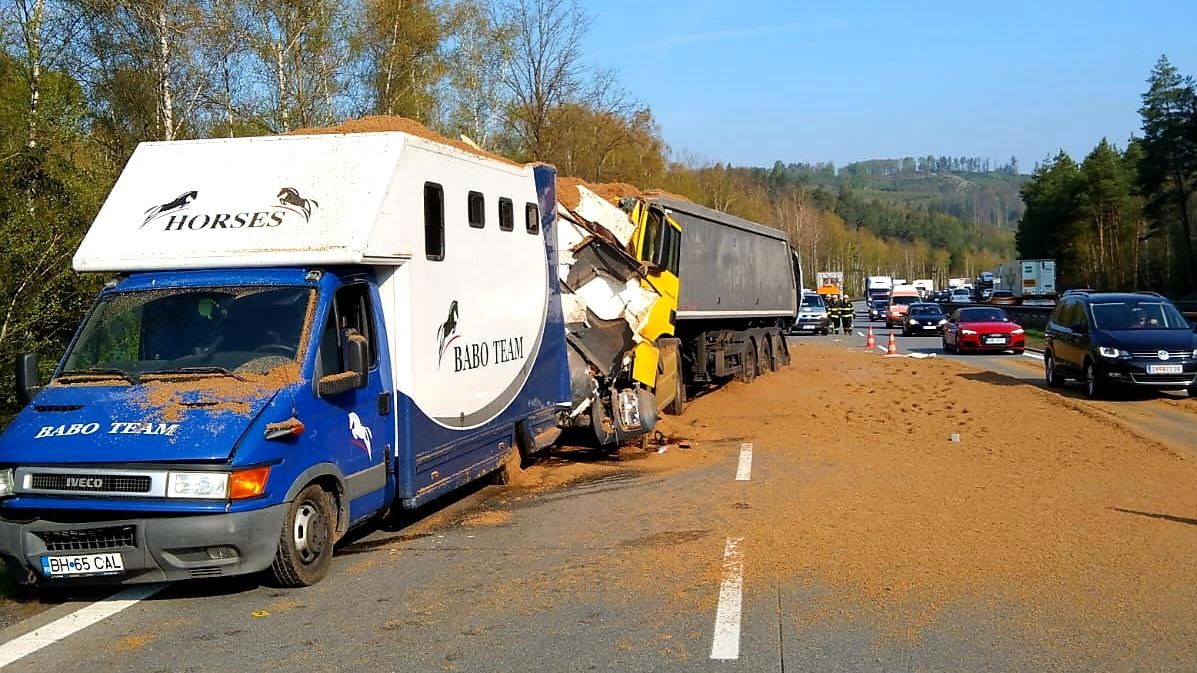Při nehodě na D1 uhynuli dva přepravovaní koně